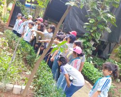 Grade 3 Field trip 2026-27
